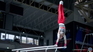 serie a1 ph simone ferraro sfa08206 copia